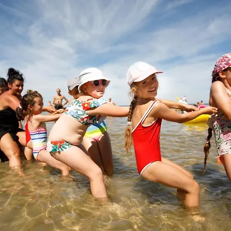 Collins אכסניה