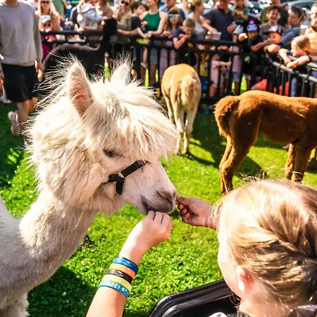 Collins * 우스트 노리 모르스키