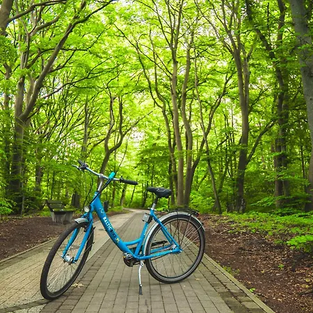 Collins אכסניה אוסטרוני מורסקי