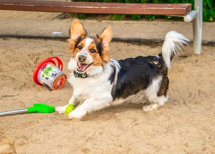 Lodge Collins Ustronie Morskie